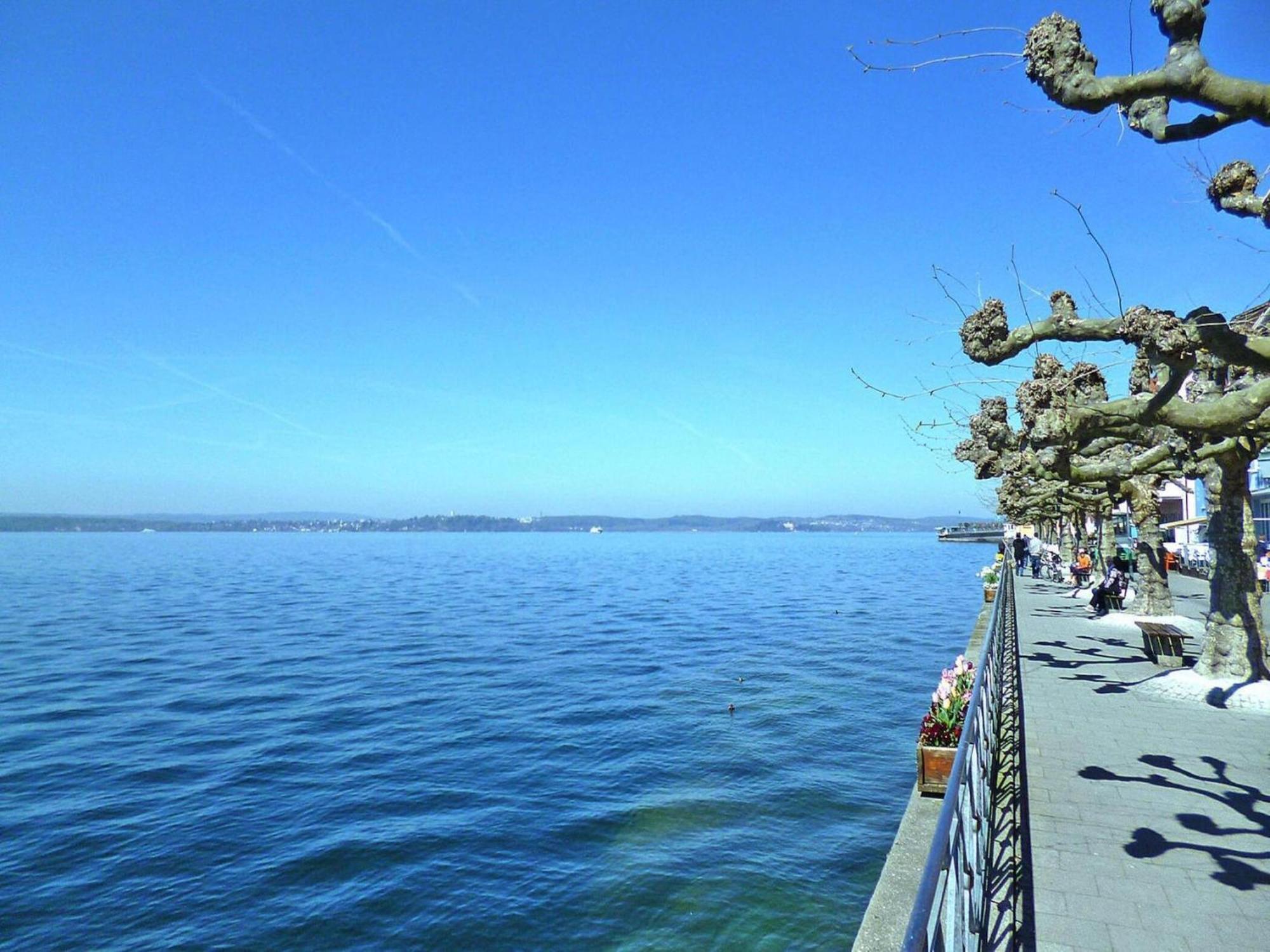 Apartment Bears, Meersburg Luaran gambar